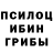 Псилоцибиновые грибы ЛСД Jake Himelfarb