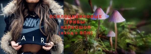 марки lsd Заводоуковск