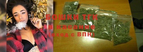 шишки Заволжье