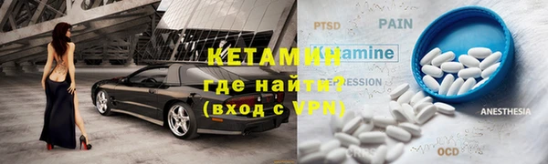 шишки Заволжье