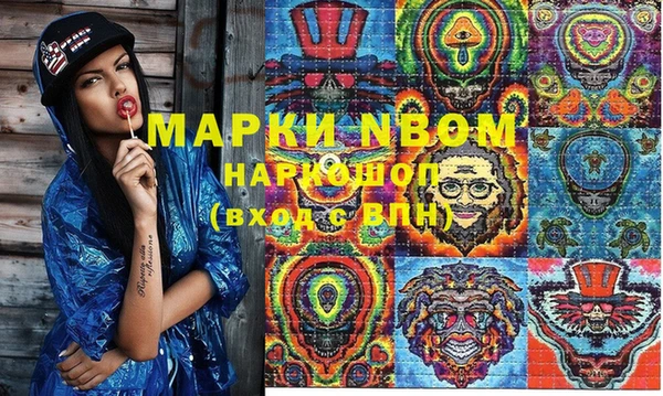 шишки Заволжье