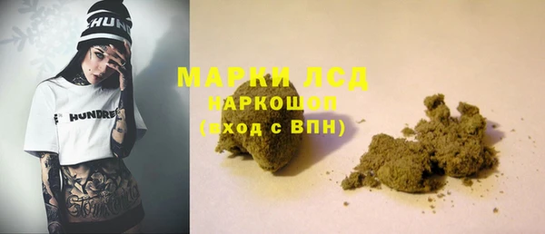 шишки Заволжье