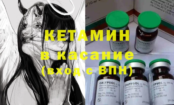 шишки Заволжье