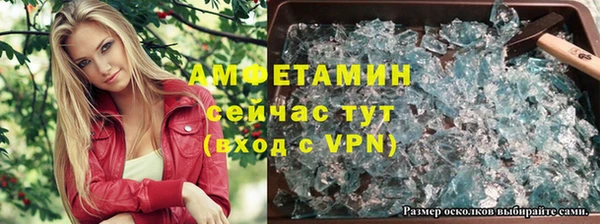 шишки Заволжье