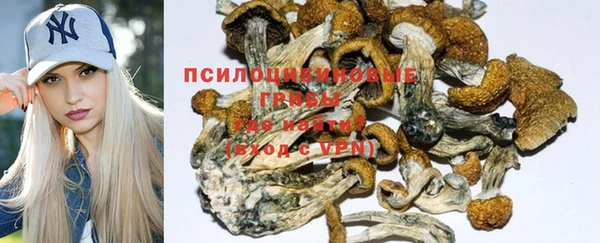 шишки Заволжье