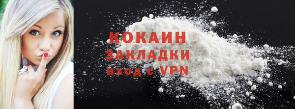 шишки Заволжье