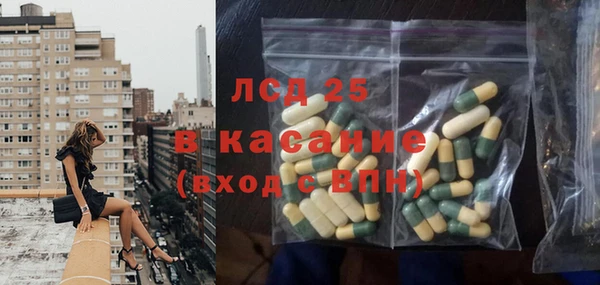 шишки Заволжье