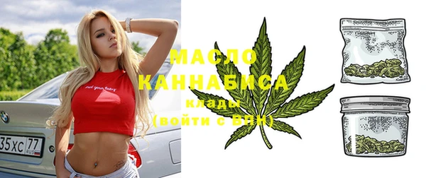 шишки Заволжье