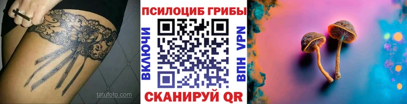 Галлюциногенные грибы GOLDEN TEACHER хочу Каменногорск